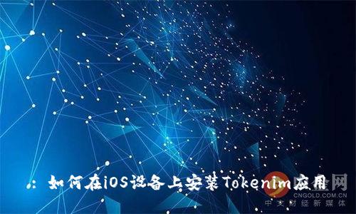 : 如何在iOS设备上安装Tokenim应用